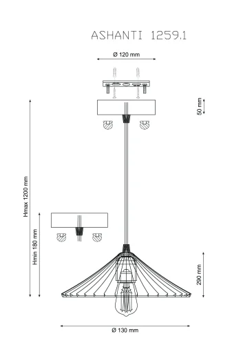 Светильник подвесной лофт ASHANTI 1259.1 Lucia Tucci прозрачный 1 лампа, основание чёрное в стиле лофт  фото 3